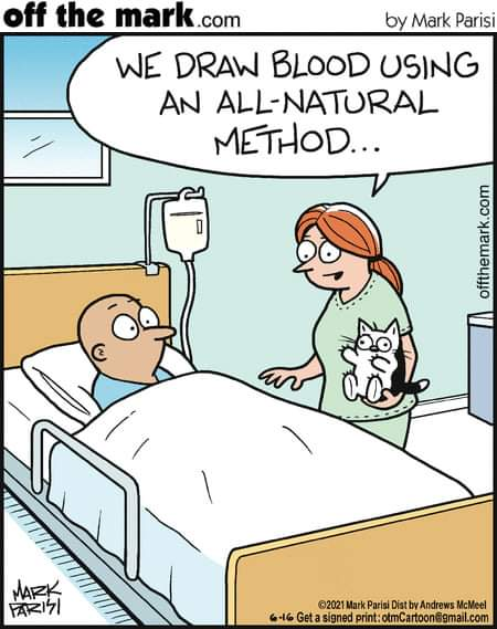 katsYAY's tweet image. @daraobriain  Have you retired Dr. Bear? (couldn't help think of the rip/tear bit from an old gig of yours when I saw this comic) #NaturalMethods