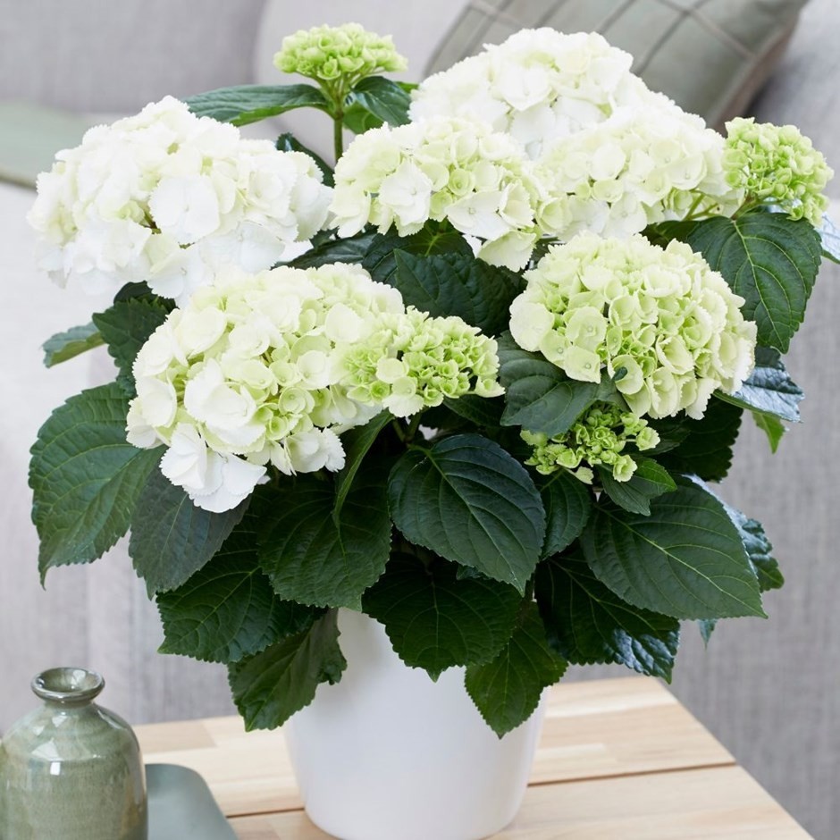 Gardening Express tweet media