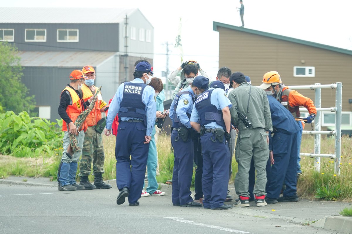 北海道のヒグマ捕獲の図に 屋根の上にたたずむ ニンジャがいる とざわつく ニンジャナンデ シュールすぎる Togetter 北海道のヒグマ捕獲の図に 屋根の上にたたずむ ニンジャがいる とざわつく ニンジャナンデ シュールすぎる Togetter