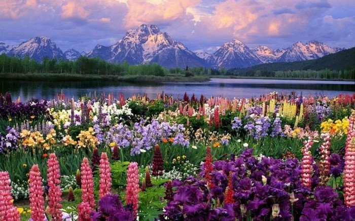 Good morning, happy friday to all, enjoy a wonderful day 💐💙💚🤗