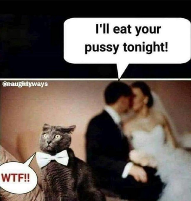 🤤🐈💦😉 https://t.co/cdciib5kjl