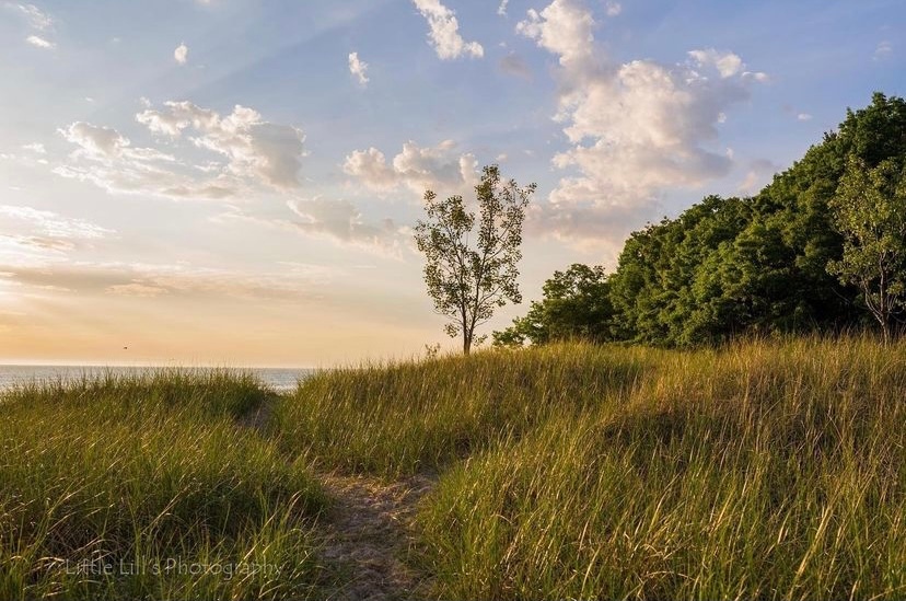 VisitGrandHaven's tweet image. There's never a bad time to visit Lake Michigan.💙

📍 Hoffmaster State Park
📸 Lillian Dotzlaf (IG: @littlelillsphotography)

Learn more about our area beaches: bit.ly/ghareabeaches

#visitgrandhaven #MIStateParks #puremichigan #michiganawesome #exploremichigan #lakemichigan
