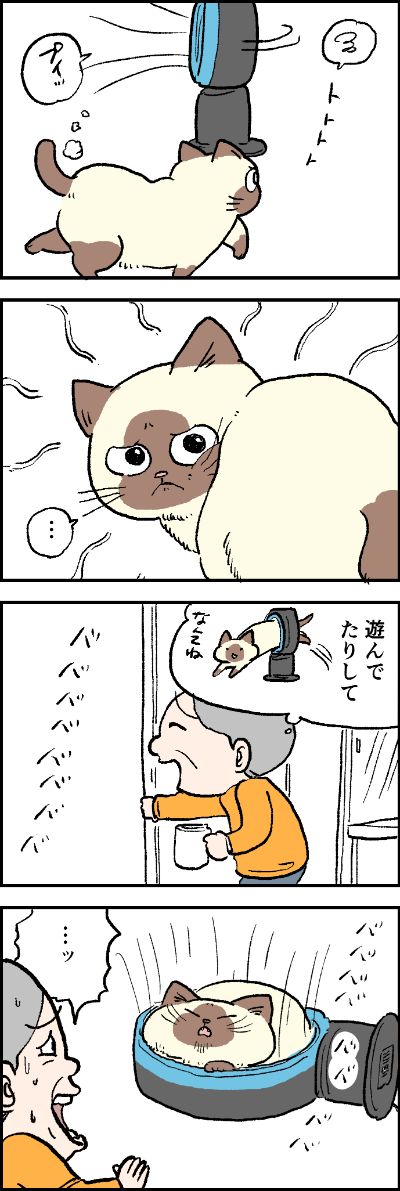 ちょっといい扇風機を買ったおばあちゃん。
おふくちゃん、使い心地はどうかな?
第121話「うらわざ」はこちらから⇒(https://t.co/aXPkv5NOu0)
『猫のおふくちゃん』の最新話は毎週金曜日に連載中! 