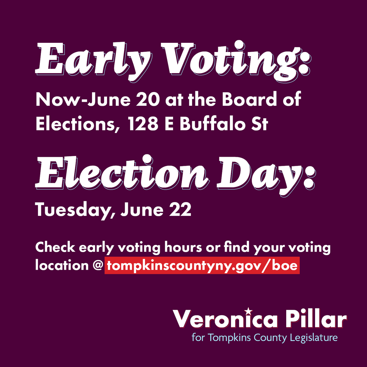 Veronica Pillar for Tompkins County tweet media