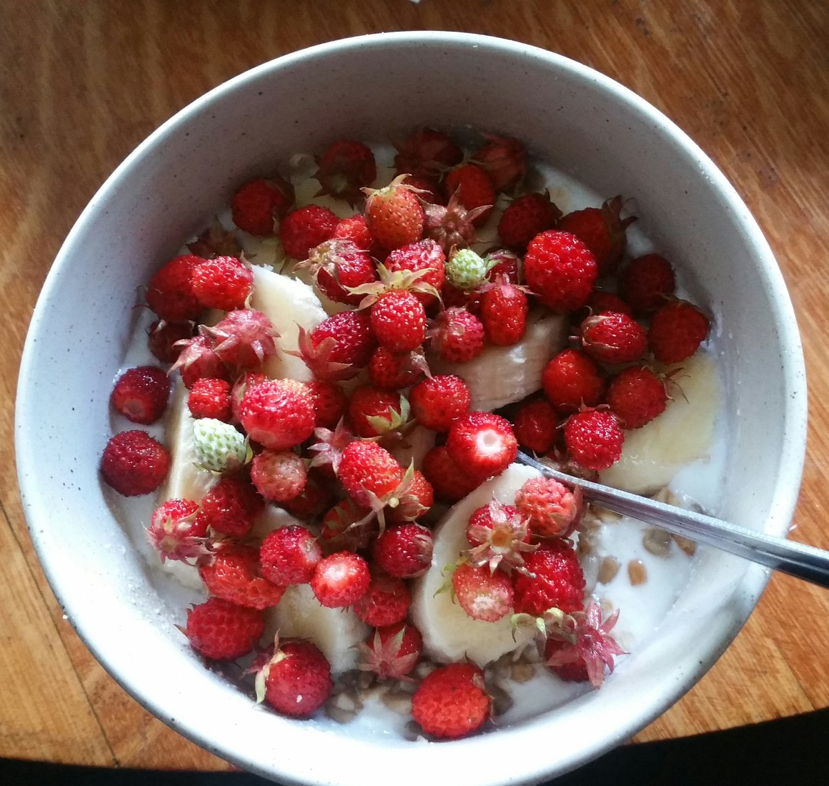 TheRustyIRiS's tweet photo. #Tiny #WildStrawberries #Cute #TinyFruit #PetiteFruit #CuteFood #Food #Foraging #WildFood #StrawberryBanana #Yogurt #Breakfast #Berries #Kawaii https://t.co/iiDSbCmmSF