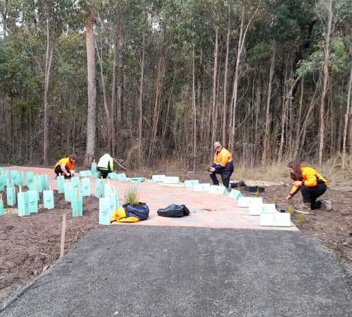 GordonTAFE's tweet photo. Looking to work in the great outdoors? Check out our Certificate III in Landscaping students as they get hands-on working on their tree planting project with @ParksVictoria in Ballarat. Get #realskills, #realexperience, #realoutcomes here; https://t.co/h6mLiAVP7f
#TheGordon https://t.co/VVSfeaFcBw