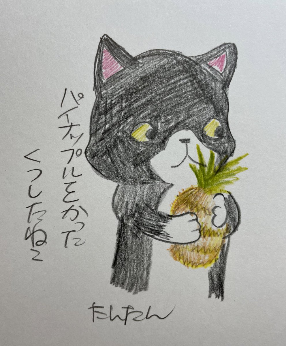 パイナップルを買ったくつしたねこ
1/3

#イラスト #猫 