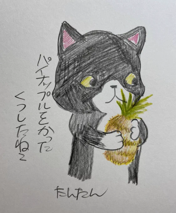 パイナップルを買ったくつしたねこ
1/3

#イラスト #猫 