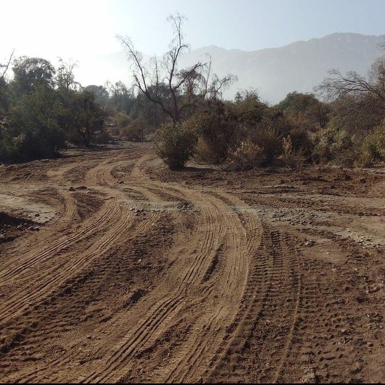 🚨📣 con respecto a la situación del panul el 2017 la comunidad denunció  a los dueños del panul por el daño ambiental que generaron botando desechos en el bosque nativo durante décadas para más info pinchar el link 

instagram.com/p/CQPapExp7o6/…