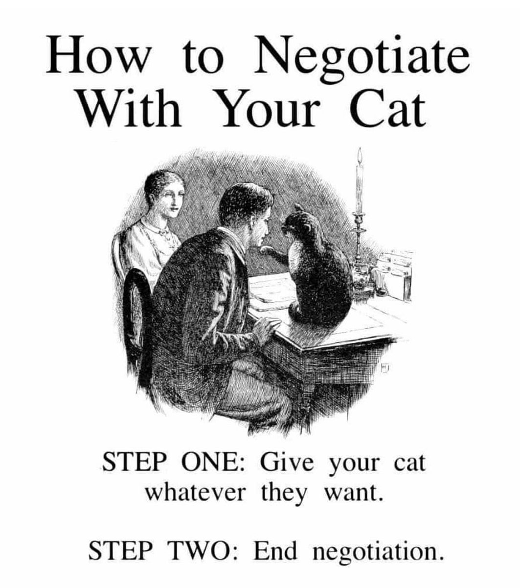 Negotiation is key 🔑 

#jacksfamily #jacksinc #jmipetsupply #cathumor #pethumor