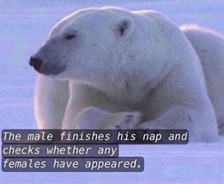 AverageJoeWo's tweet image. 