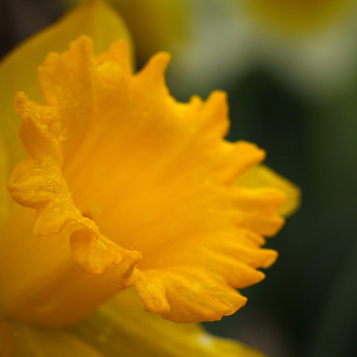 flourish4grace's tweet photo. Share His Word.
#photography #photographer #photographers #Photographyeveryday #photooftheday #PhotographyIsArt #photographylovers #photographylover #photographyislife #nature #NaturePhotography #naturelover #naturelovers #macro #macrophotography #Flowers #flower #flourish4grace https://t.co/9NHlFx45TF