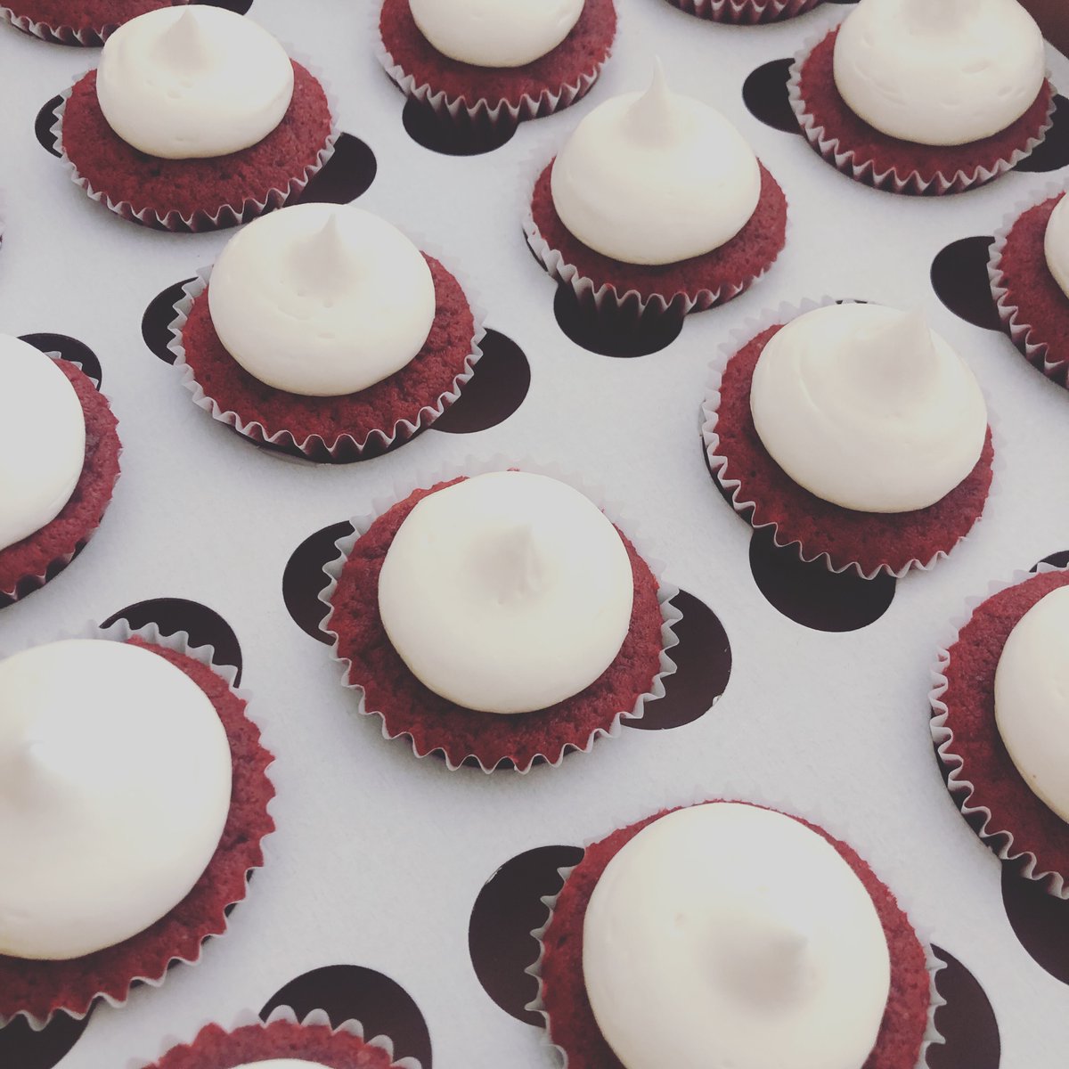 UCSF Biophysics (@ucsfbiophysics) on Twitter photo We’re looking forward to our UCSF QBC Juneteenth Celebration tomorrow! Many thanks to our organizers and presenters for helping us honor this important day. I made some red velvet mini cupcakes to sweeten the event! @DrLaWandaWesley <a href="/mojoprofessor/">Michael Mohammed</a> We’re looking forward to our UCSF QBC Juneteenth Celebration tomorrow! Many thanks to our organizers and presenters for helping us honor this important day. I made some red velvet mini cupcakes to sweeten the event! @DrLaWandaWesley <a href="/mojoprofessor/">Michael Mohammed</a>