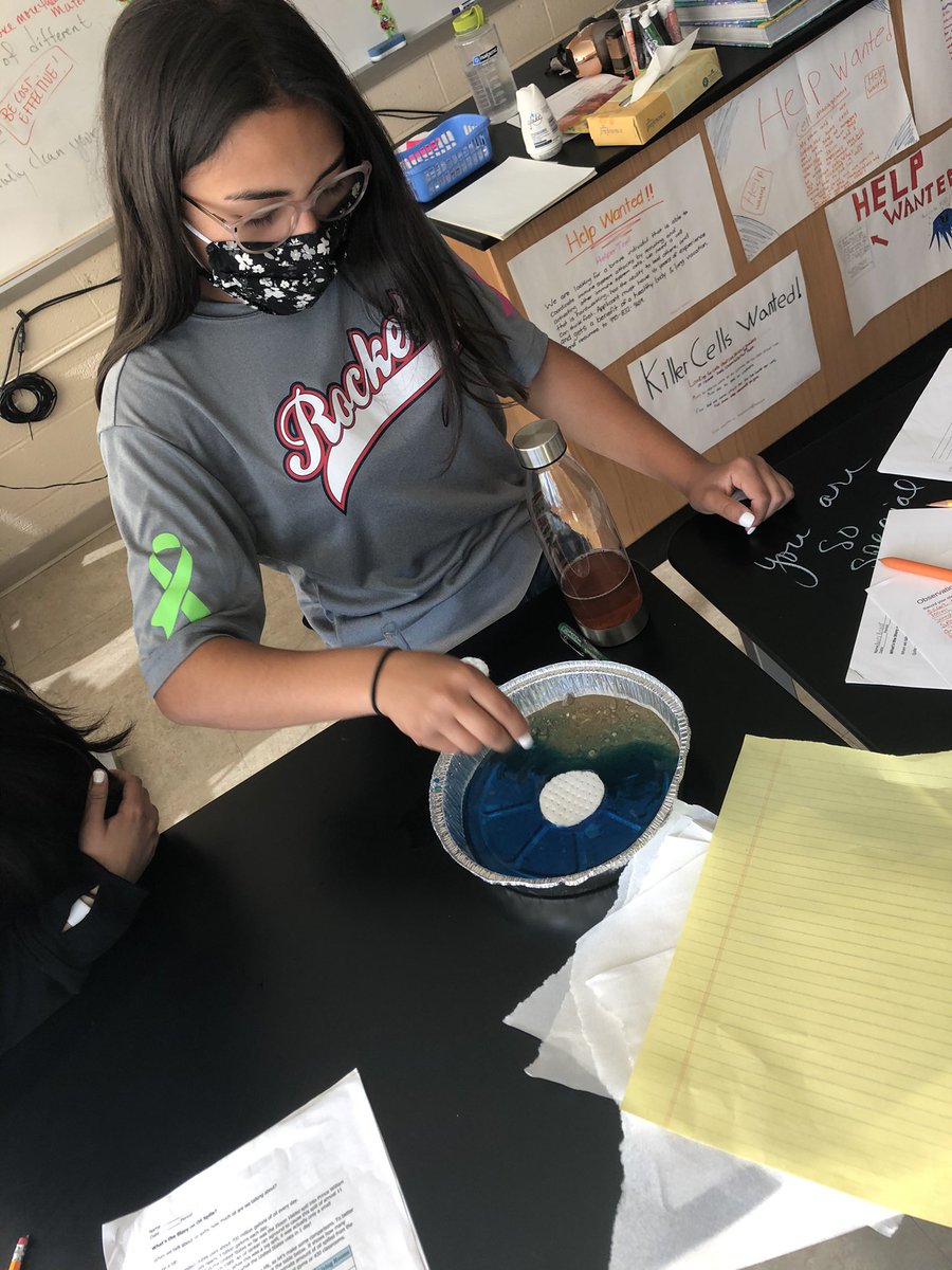 Mrs_Craig_WMS's tweet photo. 8th graders cleaning up an oil spill in a simulated lab - learning through doing. https://t.co/F8zwE5DdmL