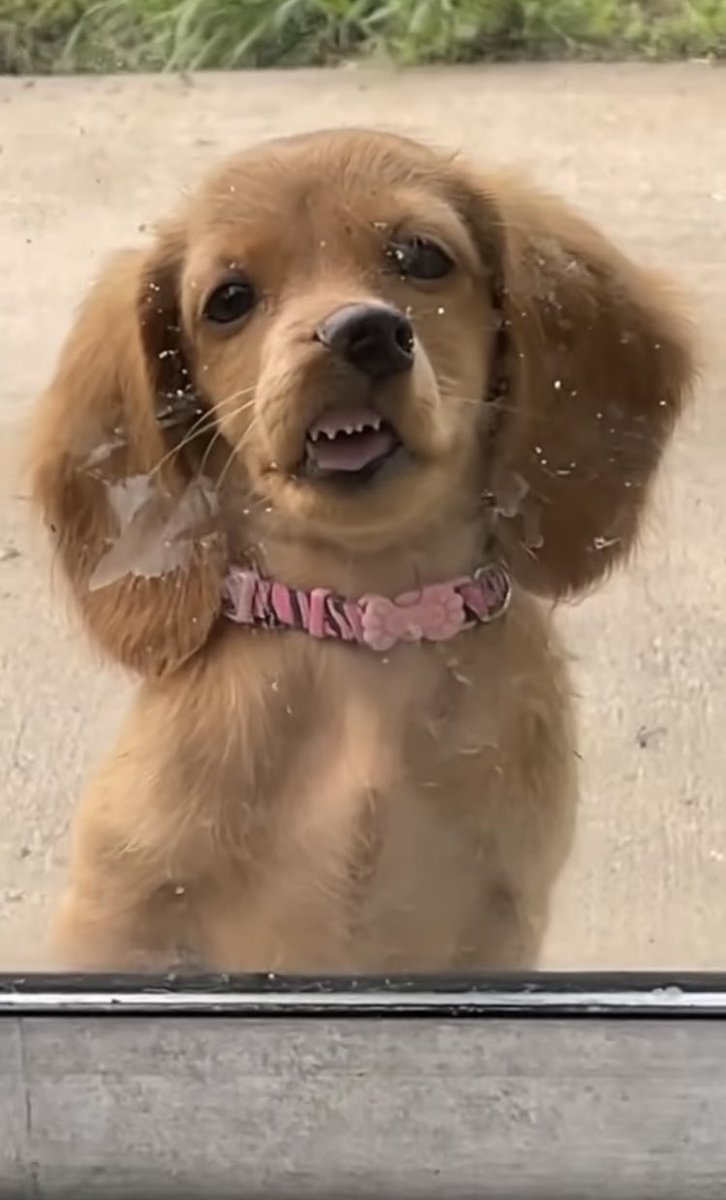 Aaaiudaaaaaa