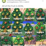 Photo by Animal Crossing Memes (@TakeMyBells)
