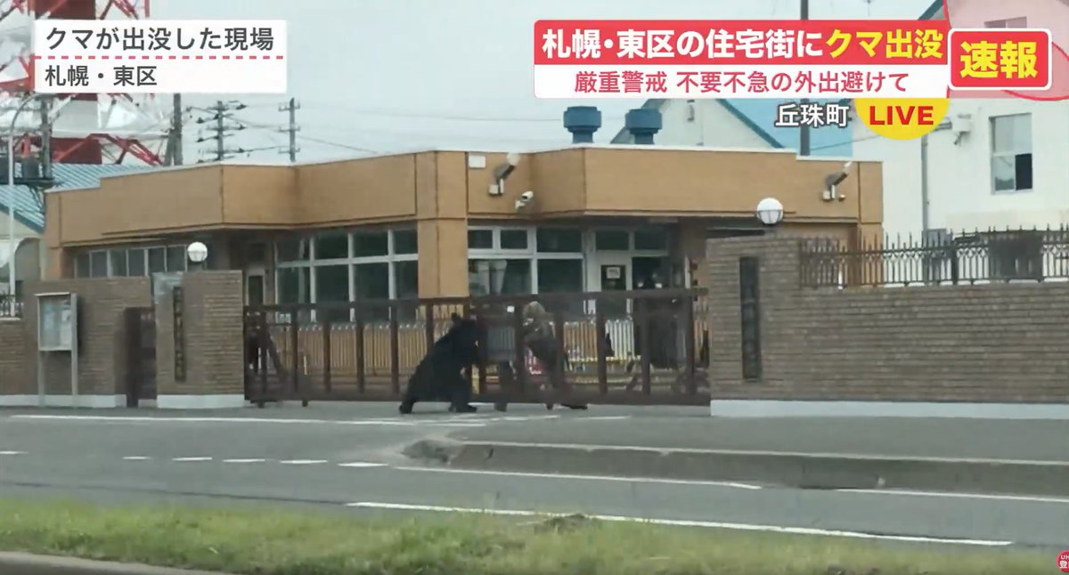クマって自衛隊員より強いんだ 札幌の市街地にヒグマ出現 門番をしばき倒して駐屯地に突入してしまう Togetter クマって自衛隊員より強いんだ 札幌の市街地にヒグマ出現 門番をしばき倒して駐屯地に突入してしまう Togetter