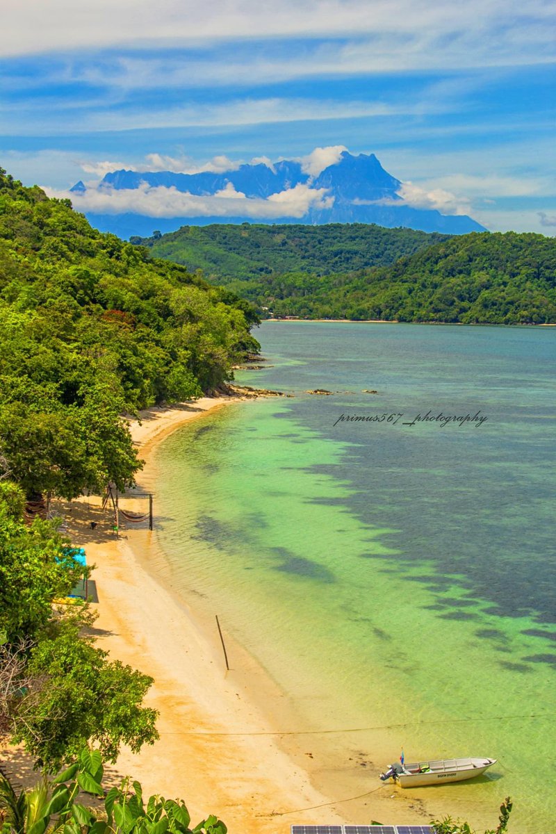 primus567 tweet media