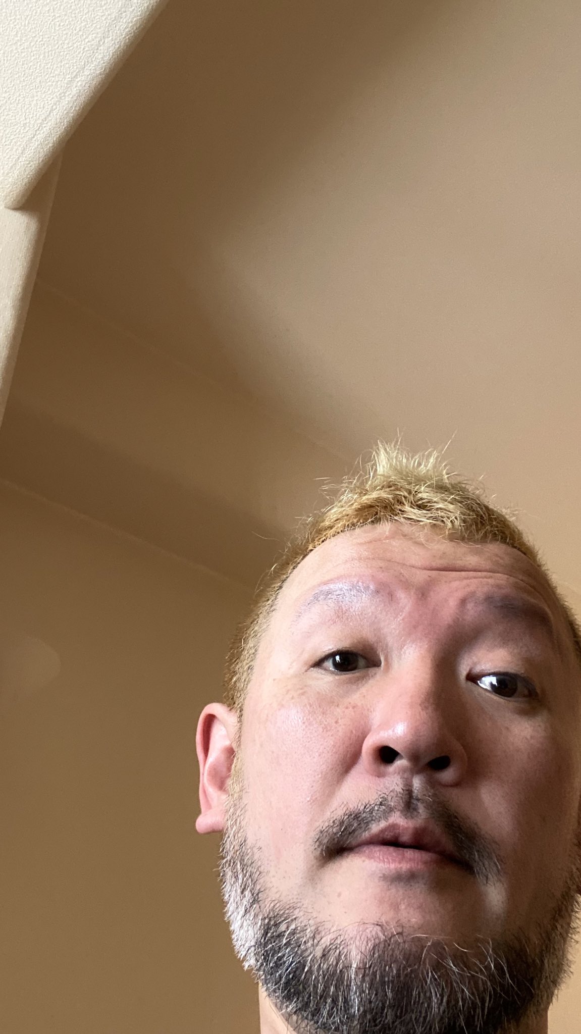 お目汚し Twitter Search Twitter