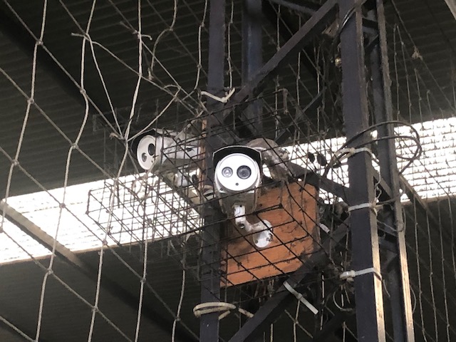 FutbolMadero's tweet photo. Descripcion Cancha 5
#futbol 5
#techada
#iluminacion Led
#cesped sintetico Forbex
#Filmacion de partidos
#Medidas 15 mts x 31 mts de Largo
#medidas Arcos 3mts x 2mts de alto https://t.co/MFuHFb6YhV