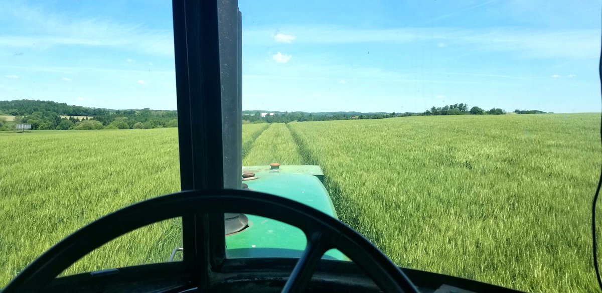 Office views 🌾