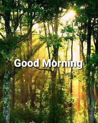 DocAnkyIndian69's tweet photo. @vanitajain21 https://t.co/KeQpO90Xba