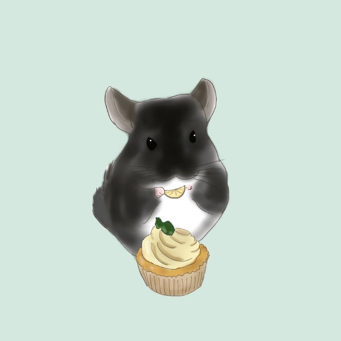 チンチライラストのtwitterイラスト検索結果 チンチライラストのtwitterイラスト検索結果