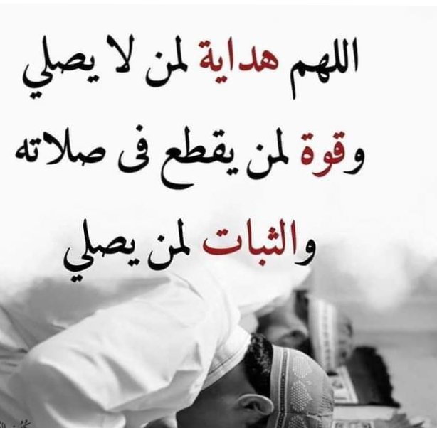 نور الهدى (@u1hcfodzrkr9esr) on Twitter photo 