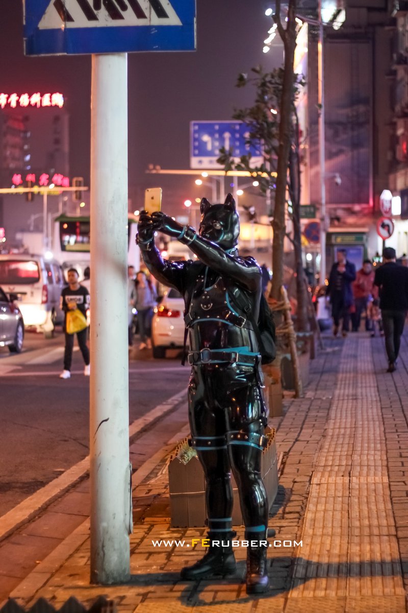 Pup Rally on Twitter: 