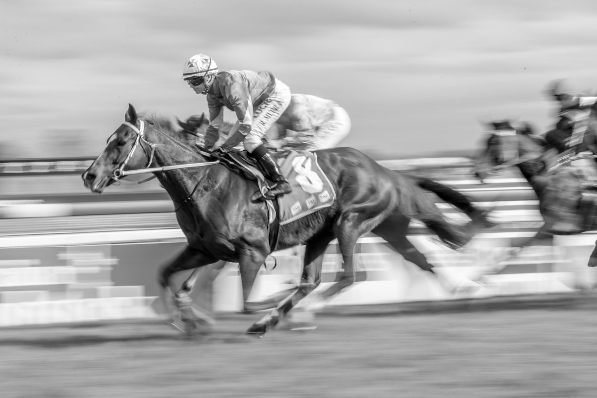 MatDockerty's tweet image. Ride like a girl, Rachael Murray onboard the Lea Selby trained The Equinator #ridelikeagirl #jockey #racing #blackandwhite #fineart #longexposure #artofracing