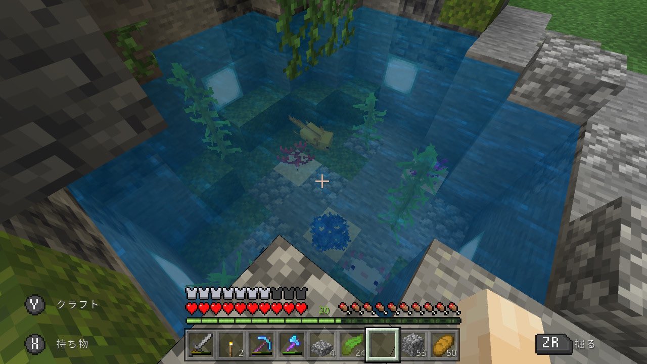 Nami マイクラ日記 ウーパールーパーのお家というか池を作った 場所 は拠点と植林場を結ぶトンネルの中 最初池の深さが1マスだったんだけど ウーパーちゃん達全く動かず 焦ったけど深くしたら元気に泳いでくれた O O その後たまたまいた行商人に声