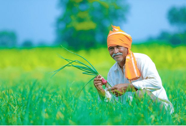 itsBrarBaby's tweet photo. With the new Farm laws, if the farmers aren’t satisfied with the price offered by the private corporates, they cannot return to the Mandi. So how the farmers and agriculture will survive in our country?

#ModiGovt_ExploitingFarmers https://t.co/xTEF3ewDYA