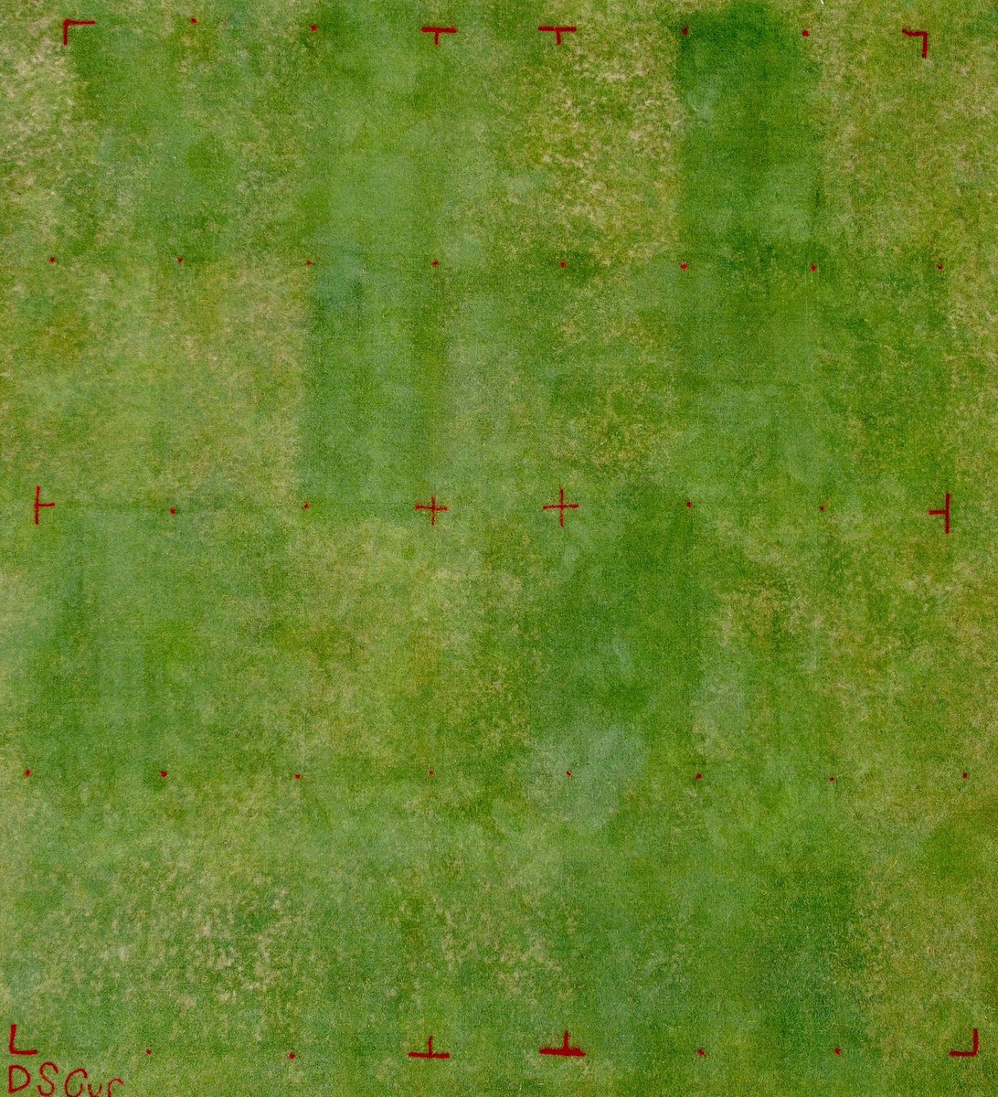 KernsJim's tweet photo. Dollar spot curative control trial. Single applications of products on May 10. Upper row 3 plot from left is 0.32 oz of Posterity. Second to last is posterity + secure. Demonstrates the need for high rates or tank mixes for good curative control, but took 12 days after app. https://t.co/WjVGYivd1f