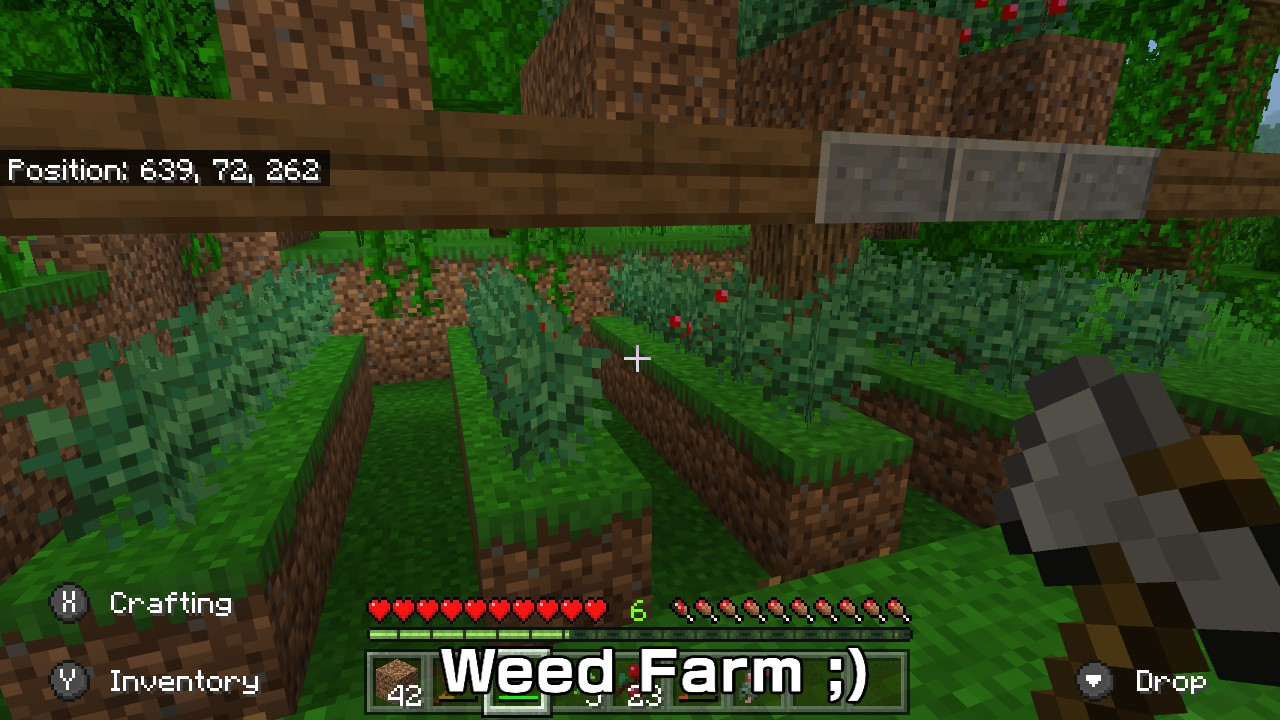 Twitter 上的arisu Sanchez Minecraft Use Berry Bushes For A Weed Farm T Co Ilxaqy5uyc Twitter