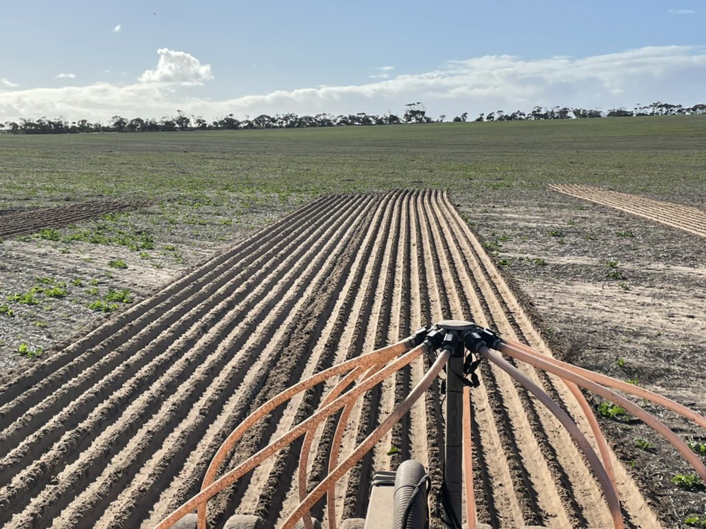 fieldworkssa tweet media