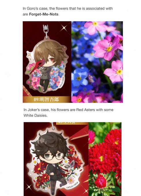 yes the flowers are a shuake reference (pretend I got my hands on actual red asters 