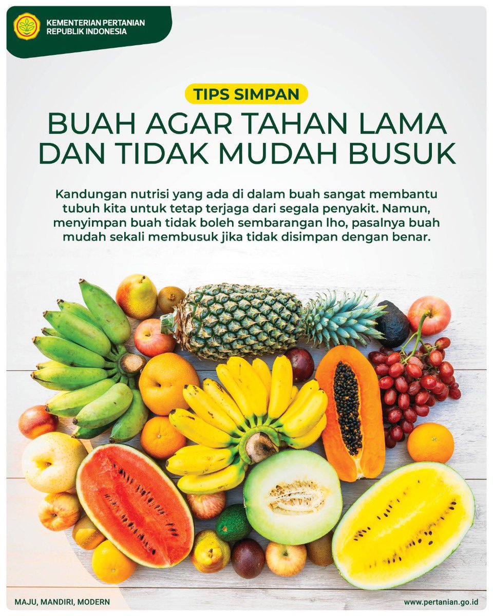 kementan's tweet photo. Selamat pagi!

SobaTani, yuk selalu konsumsi buah-buahan karena kandungan nutrisinya membantu tubuh kita terjaga dari segala penyakit. Berikut MinTani akan share tips untuk menjaga buah agar tahan lama dan tetap terjaga nutrisinya. https://t.co/cdaOUmWCSp