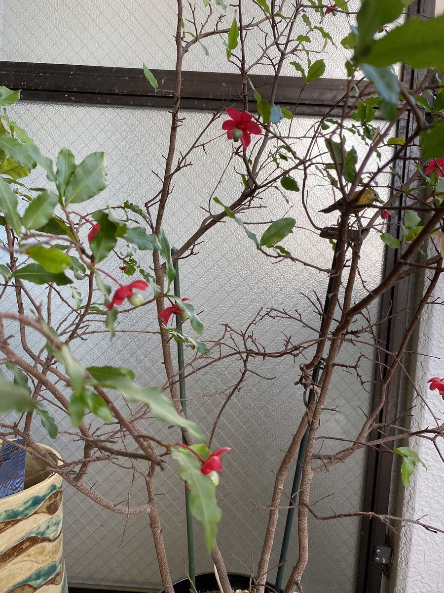 19maruko1's tweet photo. #パソコムプラザ　#香りのぽち袋
色々なポチ袋がどんどんできたら楽しいし便利かも。 https://t.co/UY5heMnvjP