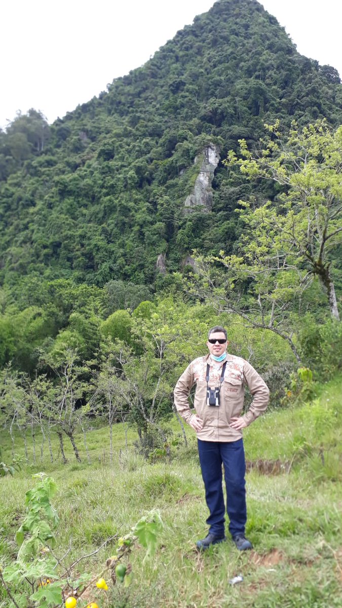 BelloBaezF's tweet photo. Cerro Tusa, Venecia ANT. 🌱 https://t.co/hM7A6iHJzx
