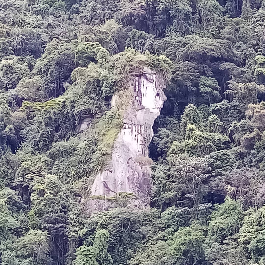 BelloBaezF's tweet photo. Cerro Tusa, Venecia ANT. 🌱 https://t.co/hM7A6iHJzx