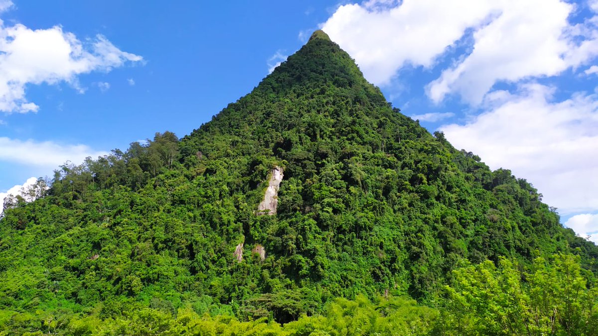 BelloBaezF's tweet photo. Cerro Tusa, Venecia ANT. 🌱 https://t.co/hM7A6iHJzx