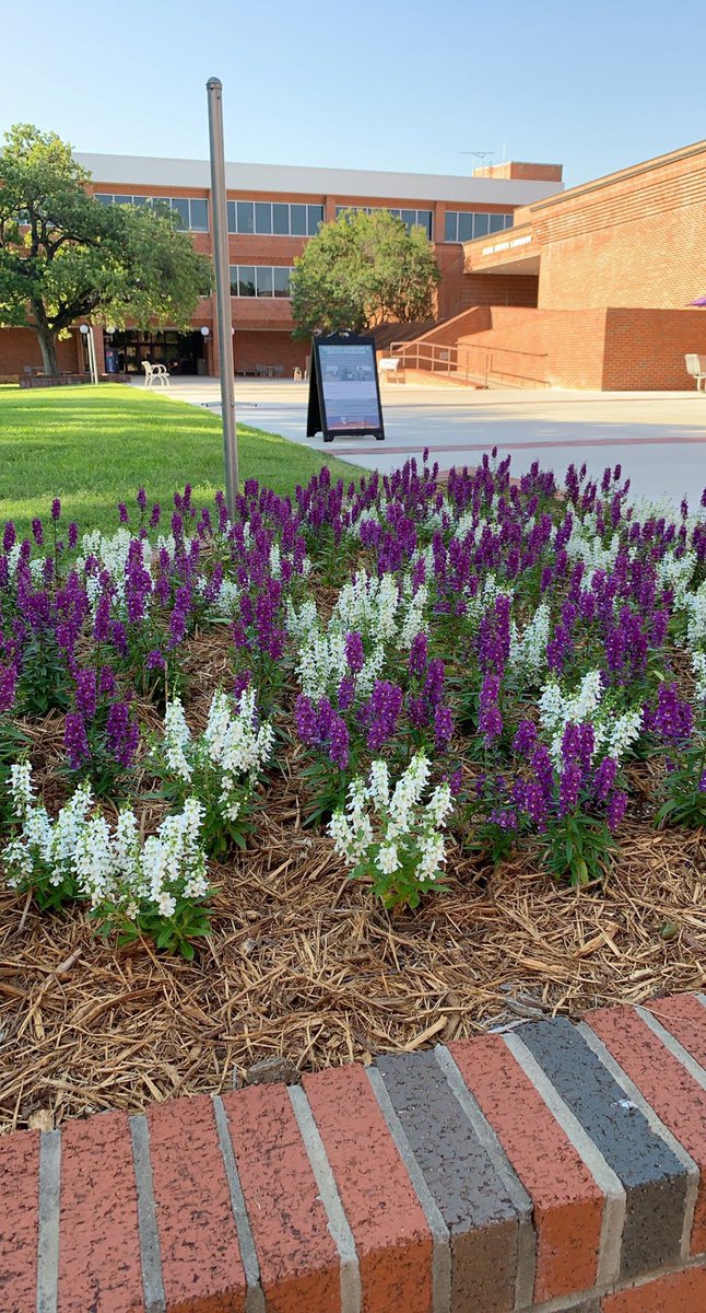 LathesTowns's tweet photo. I Love our #BleedPurple Campus @TarletonState University!! #HappyPurpleThursday #LetsRollTexans #TarletonExcellence #4EverATexans https://t.co/adKAtHkeDn