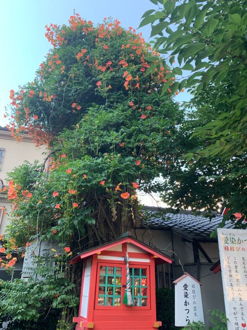 Popular Tweets Of 愛染堂 愛染さん 1 Whotwi Graphical Twitter Analysis