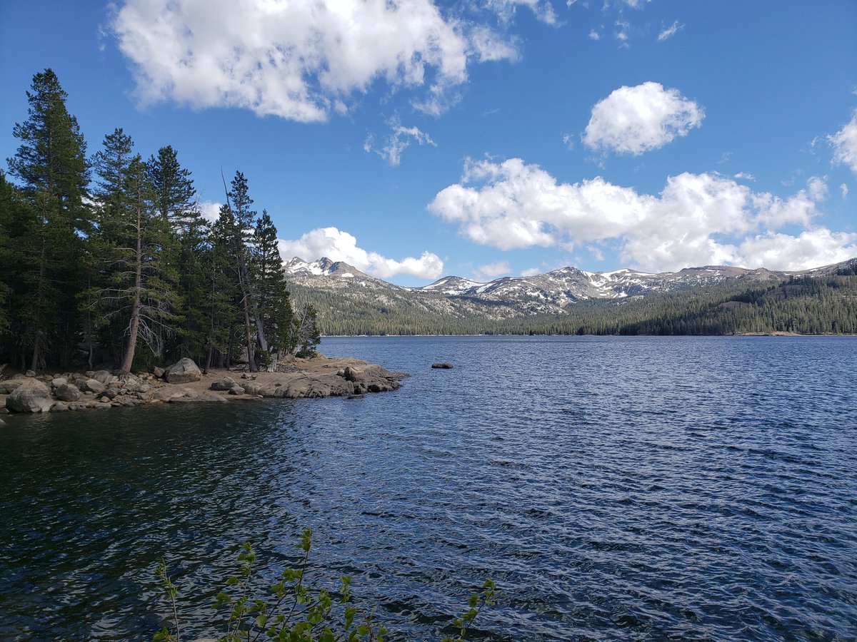 monterey tweet media