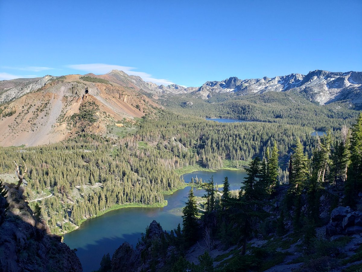 monterey tweet media