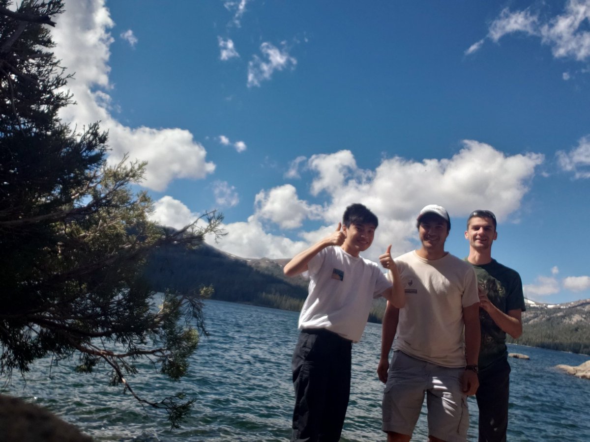 monterey tweet media