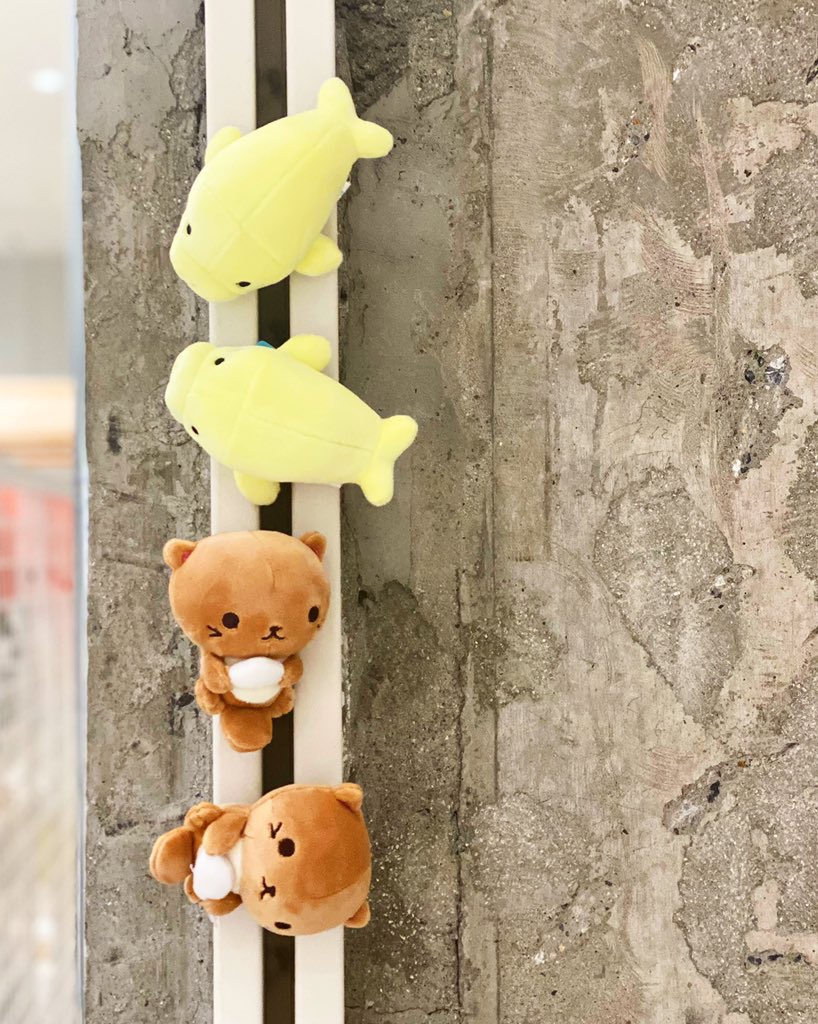 銀座ロフト 6階 旅する水族館 鳥羽水族館 Toba Aquarium の ラッコとジュゴンのぬいぐるみ マスコットのマグネットです ボールチェーンもありますよ T Co Buiv2i3bir T Co Jdq91lunph Twitter