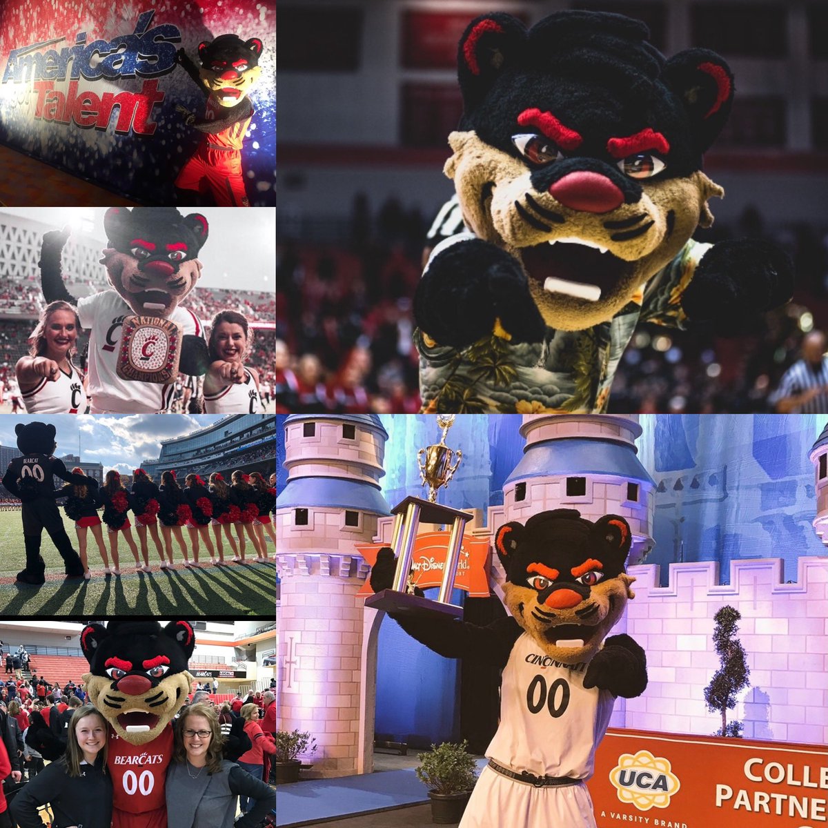 Cincinnati Cheerleading tweet media