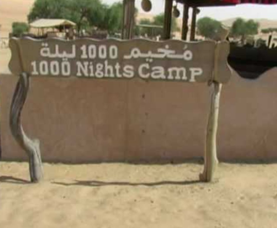 عاشق رابح صقر (@akeagirvru4axzd) on Twitter photo 