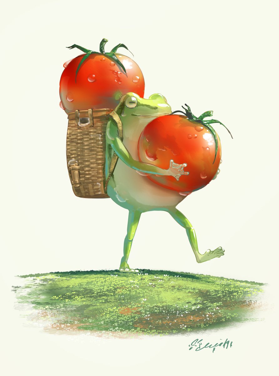 frog tomato no humans basket simple background holding white background  illustration images